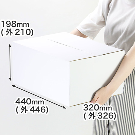 【宅配100サイズ】A3用紙対応 軽量物用ダンボール箱(白)