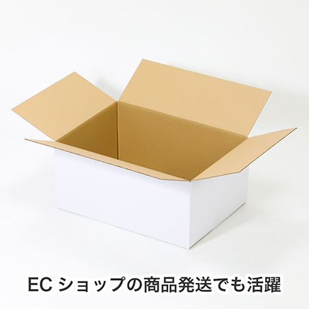 【宅配100サイズ】A3用紙対応 軽量物用ダンボール箱(白)-4