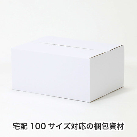 【宅配100サイズ】A3用紙対応 軽量物用ダンボール箱(白)-6