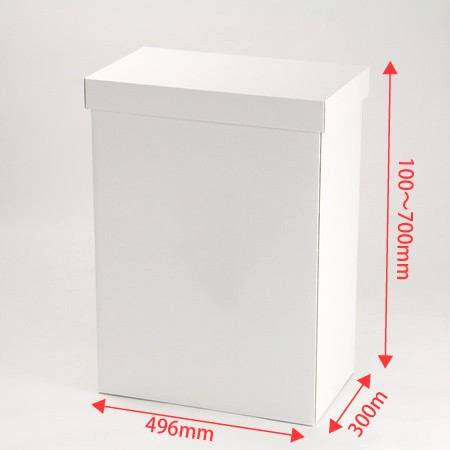 ツッパリ収納箱サイズA-3