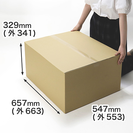ラッピング/包装サイズ:2枚_パターン名:単品日本製 ダンボール 160サイズ 段ボール 2