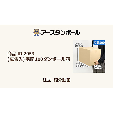 (広告入)宅配100ダンボール箱-12