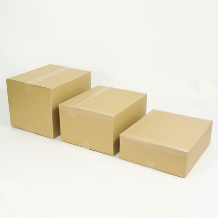 【広告入】宅配120フルサイズダンボール箱-5