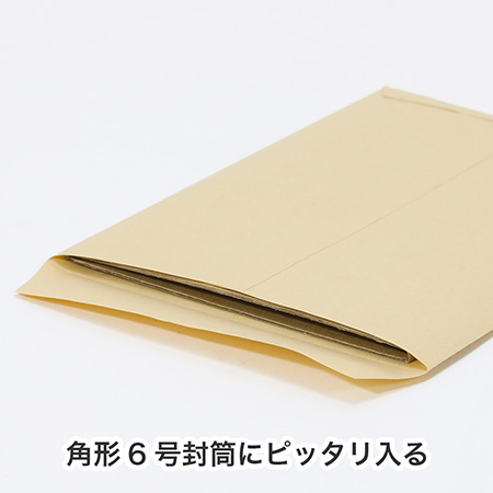 【角形6号封筒にピッタリ入る】ペッタンコダンボール-4