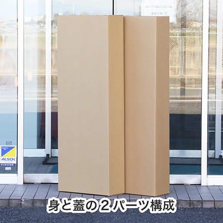 パドル・オール梱包用ダンボール箱-3