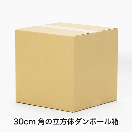 【宅配100サイズ】立方体ダンボール箱 30cm角-5