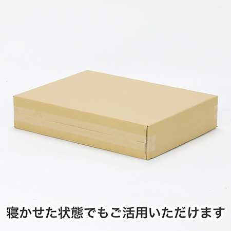 【宅配120サイズ】B3用紙が入るダンボール箱 幅100mm-6