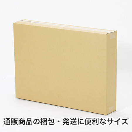 【宅配120サイズ】A2用紙が入るダンボール箱 幅100mm-5