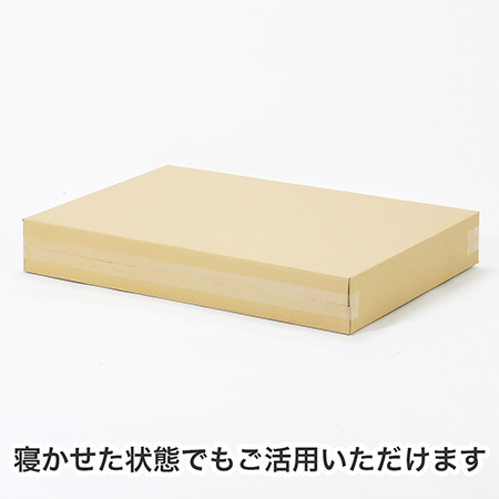 【宅配140サイズ】B2用紙が入るダンボール箱 幅100mm-6