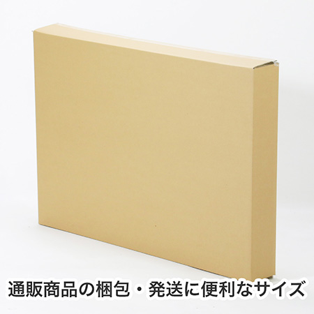 【宅配160サイズ】A1用紙が入るダンボール箱 幅100mm-4