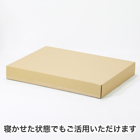 【宅配160サイズ】A1用紙が入るダンボール箱 幅100mm-5