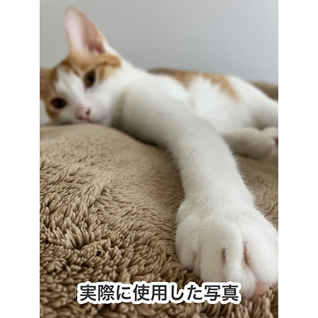 【オリジナルプリント】ダンボール製フォトアートボード-3