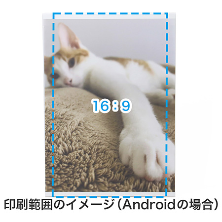 【オリジナルプリント】ダンボール製フォトアートボード-6