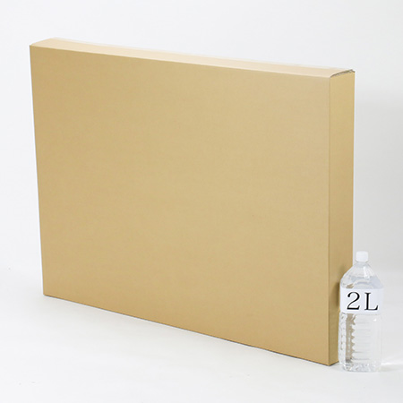 【宅配200サイズ】B1用紙が入るダンボール箱 幅100mm-3