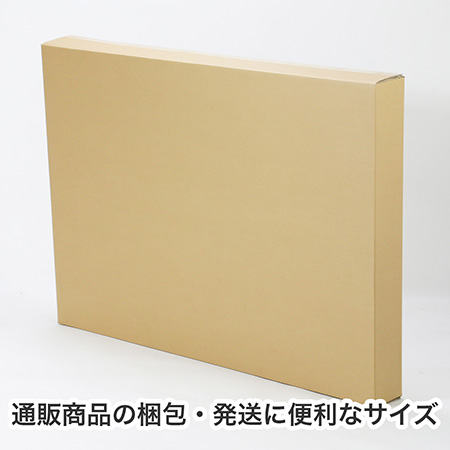 【宅配200サイズ】B1用紙が入るダンボール箱 幅100mm-4