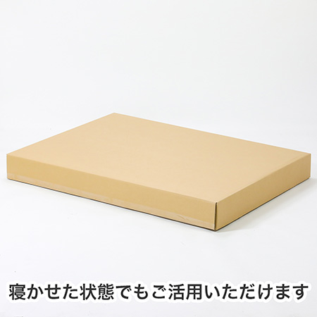 【宅配200サイズ】B1用紙が入るダンボール箱 幅100mm-5