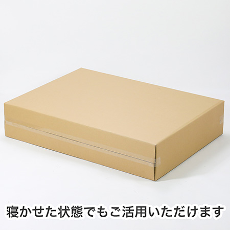 【宅配220サイズ】B1用紙が入るダンボール箱 幅200mm-5