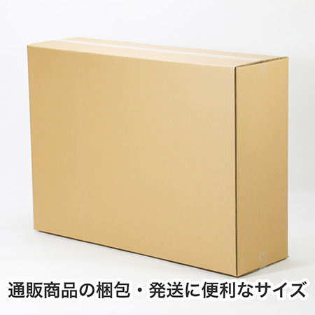 【宅配220サイズ】B1用紙が入るダンボール箱 幅300mm-4