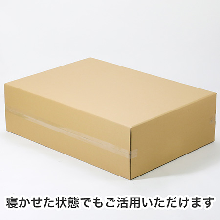【宅配220サイズ】B1用紙が入るダンボール箱 幅300mm-5