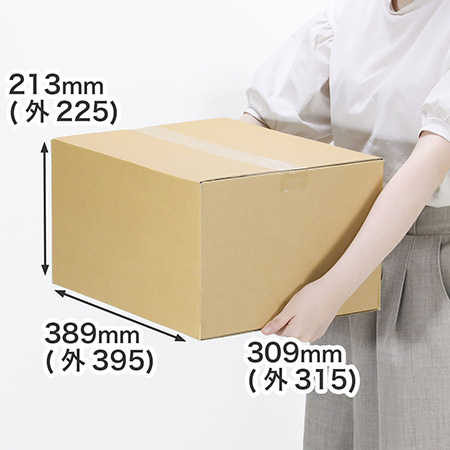 【宅配100サイズ】発送用ダンボール箱 389×309×213-1