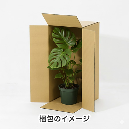 【宅配120サイズ】横長ダンボール箱 正方形タイプ 600×280×280-7