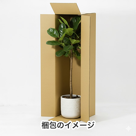 【宅配160サイズ】横長ダンボール箱 正方形タイプ 1000×280×280-7