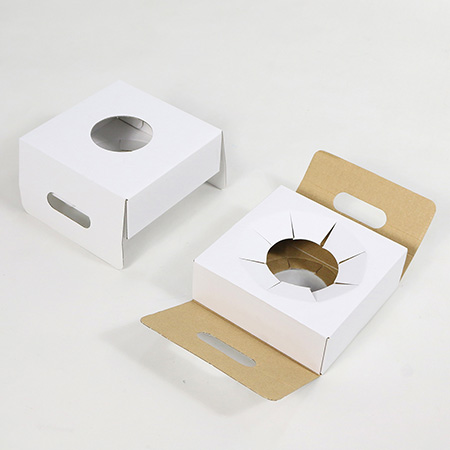 プチボックス【S】(ブラック)鉢押え付-4