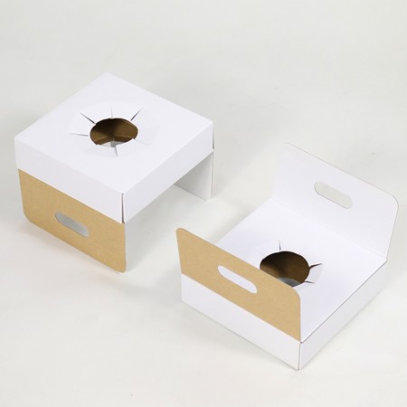 プチボックス【M】(ブラック)鉢押え付-3