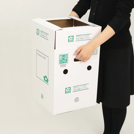 【E-2(100)】5~6寸鉢物用フラワーギフトボックス(鉢押え付)-5