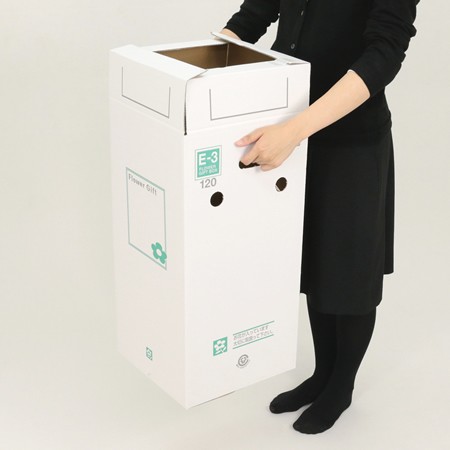 【E-3(120)】5~6寸鉢物用フラワーギフトボックス(鉢押え付)-5