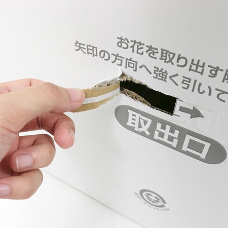 【E-3(120)】5~6寸鉢物用フラワーギフトボックス(鉢押え付)-6