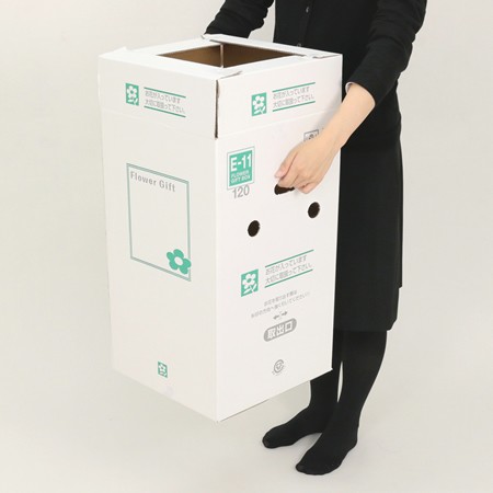 【E-11(120)】5~6寸鉢物用フラワーボックス(鉢押え付)-5