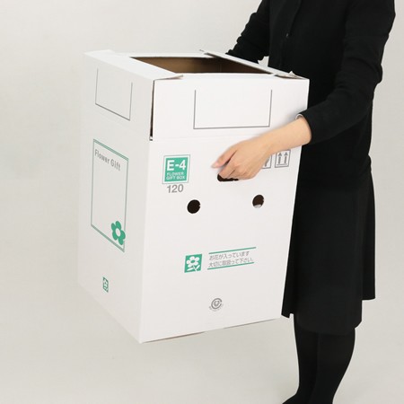 【E-4(120)】6~7寸鉢物用フラワーギフトボックス(鉢押え付)-5