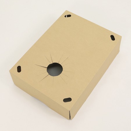 【E-7(185)】大型観葉植物用フラワーギフトボックス(鉢押え付)-3