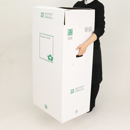【E-7(185)】大型観葉植物用フラワーギフトボックス(鉢押え付)-5