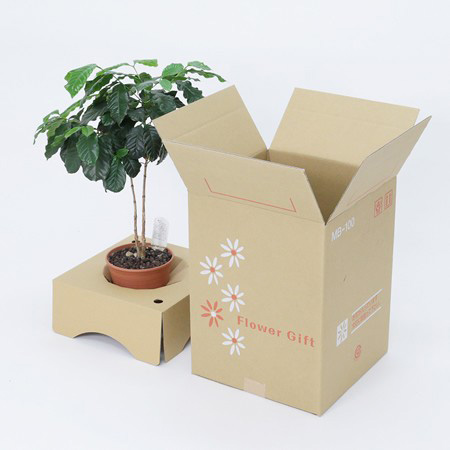 【MB-100(茶)】5~6寸鉢物用フラワーギフトボックス(鉢抑え付)-2