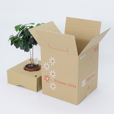 【MB-120(茶)】6~7寸鉢物用フラワーギフトボックス(鉢押え付)-2