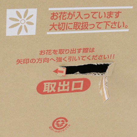 【MB-120H(茶)】5~6寸鉢物用フラワーボックス(鉢押え付)-6