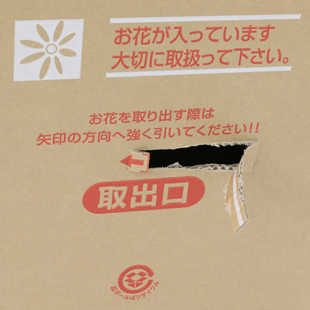 【MB-140(茶)】5~8寸鉢物用フラワーギフトボックス(鉢押え付)-6