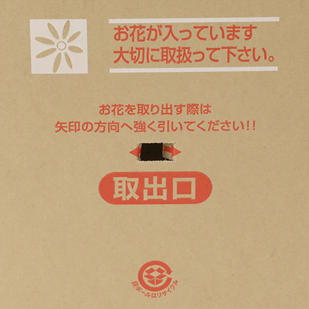 【MB-120S(茶)】6~7寸鉢物用 フラワーギフトボックス(鉢押え付)-7