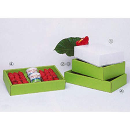 C式化粧箱(PB-4S)-2