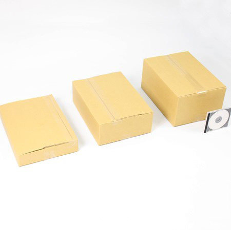 B4が入る宅配100A式ダンボール箱(深さ調節可)まとめ買い -7