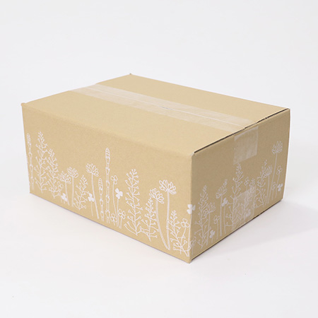 【宅配60サイズ】デザインダンボール箱(花さんぽ)まとめ買い-2