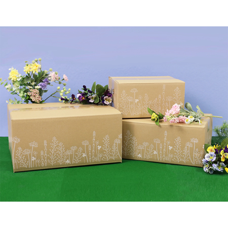 【宅配60サイズ】デザインダンボール箱(花さんぽ)まとめ買い-3