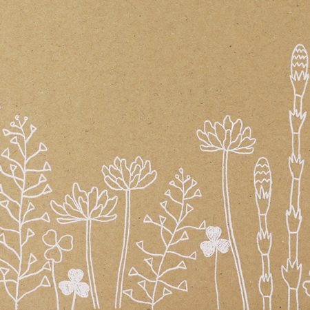 【宅配80サイズ】デザインダンボール箱(花さんぽ)まとめ買い-7