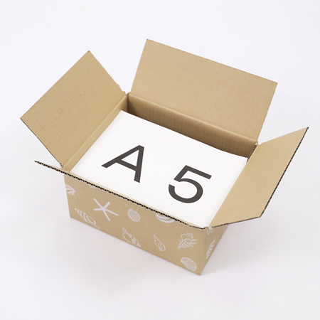【宅配50サイズ】デザインダンボール箱(海びより)まとめ買い-4