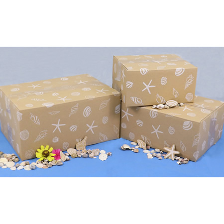 【宅配60サイズ】デザインダンボール箱(海びより)まとめ買い-3