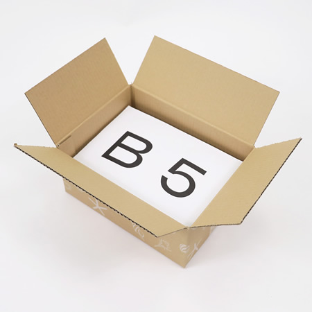 【宅配60サイズ】デザインダンボール箱(海びより)まとめ買い-4