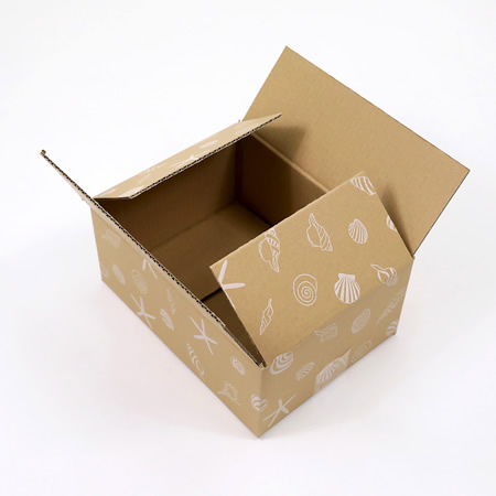 【宅配60サイズ】デザインダンボール箱(海びより)まとめ買い-5