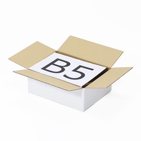 【宅配60サイズ】定番ダンボール箱(B5・白) まとめ買い-2